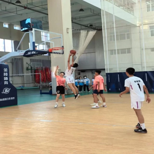 足球杯赛焦点对决:第86组阵容深度解析